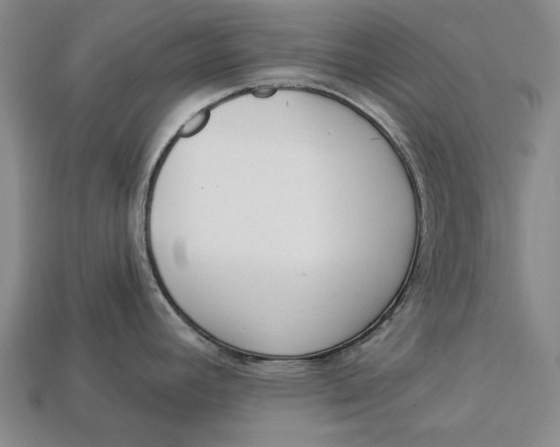 X0000112961392200909171249