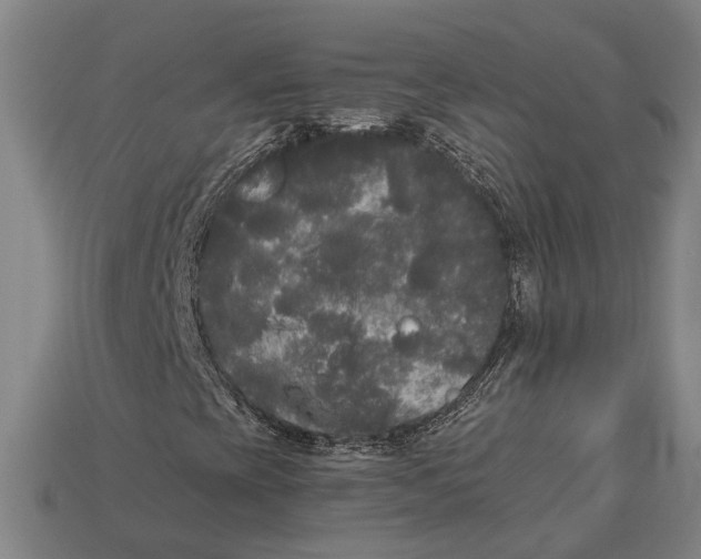 X0000112961393200909171248