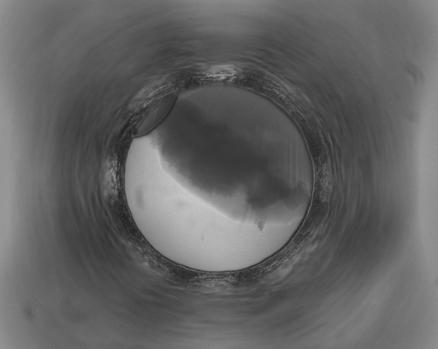 X0000112961394200909171248