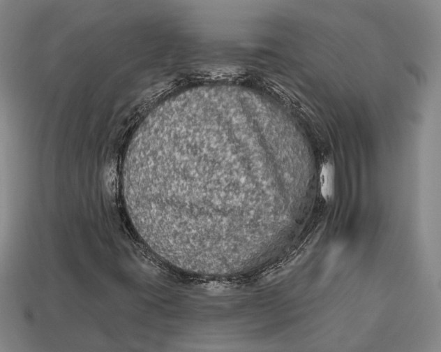 X0000112961395200909171248