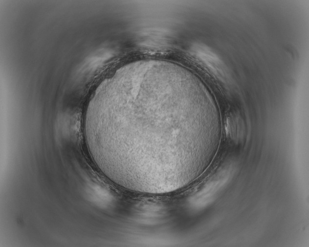 X0000112961396200909171248