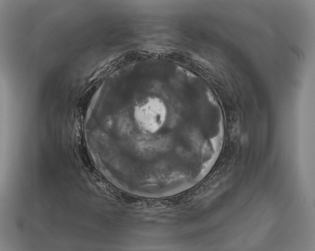 X0000112961397200909171248