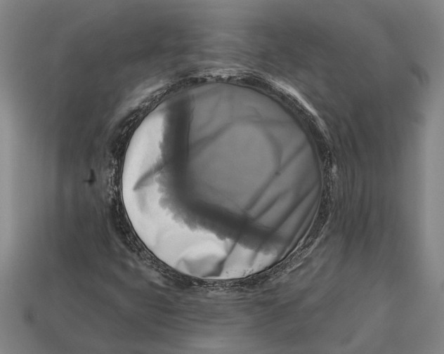 X0000112961399200909171248