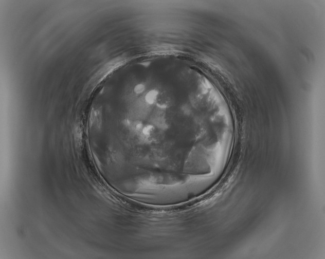 X0000112961401200909171248