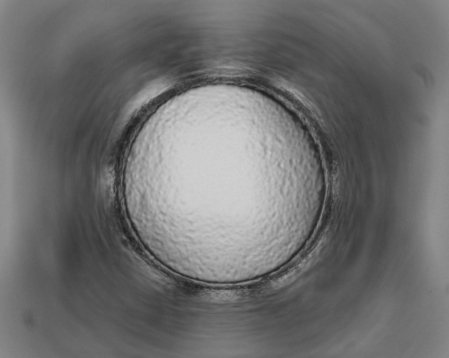 X0000112961402200909171248