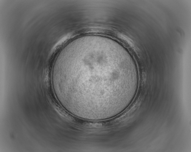 X0000112961403200909171248