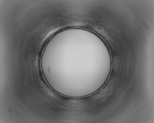 X0000112961404200909171248