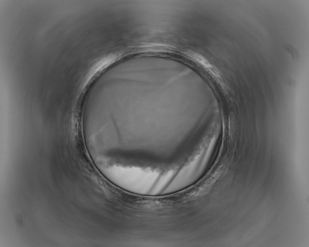 X0000112961405200909171248