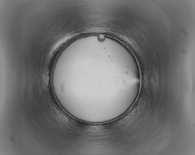 X0000112961406200909171248