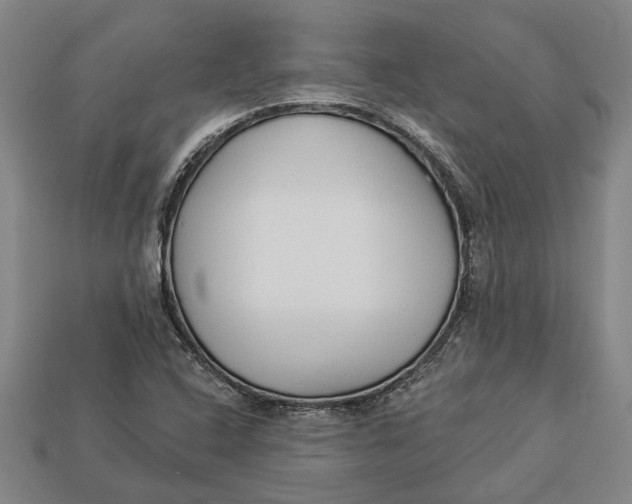 X0000112961408200909171248