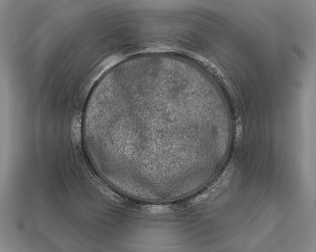 X0000112961409200909171248