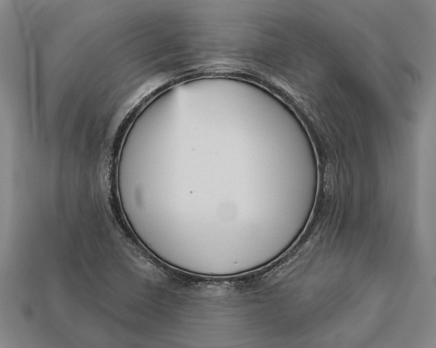 X0000112961410200909171248