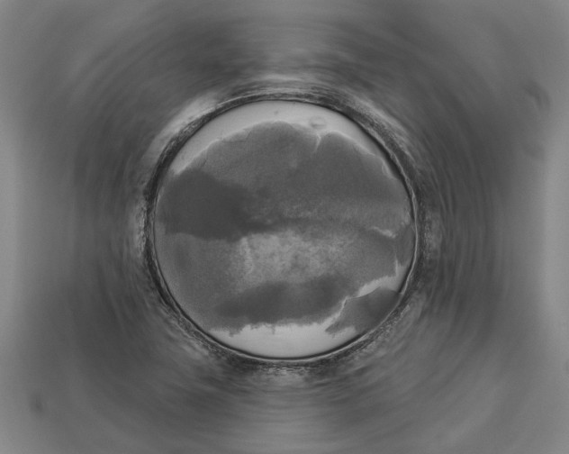 X0000112961411200909171248