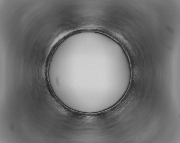 X0000112961412200909171248