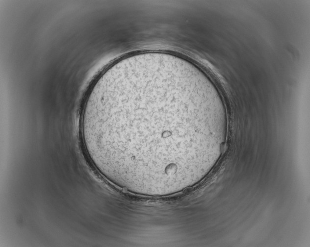 X0000112961416200909171248