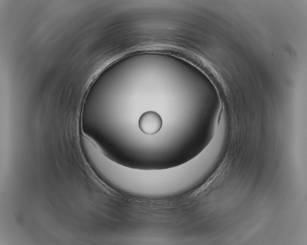 X0000112961417200909171248