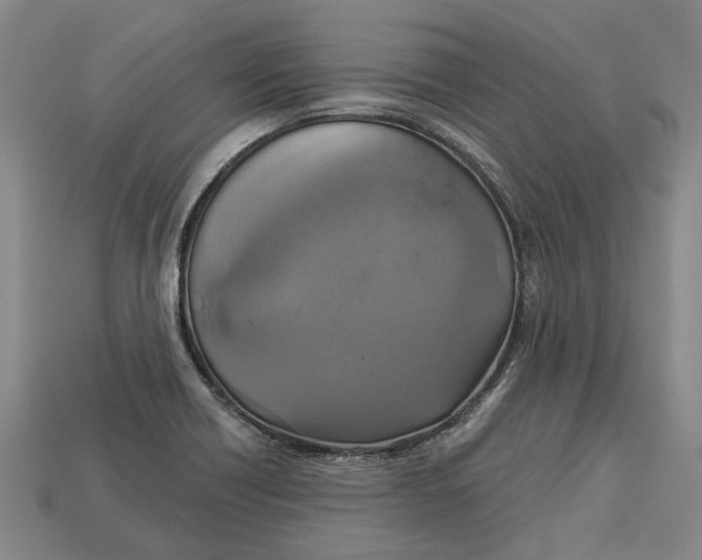 X0000112961418200909171248