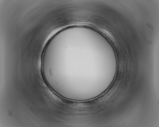 X0000112961420200909171248