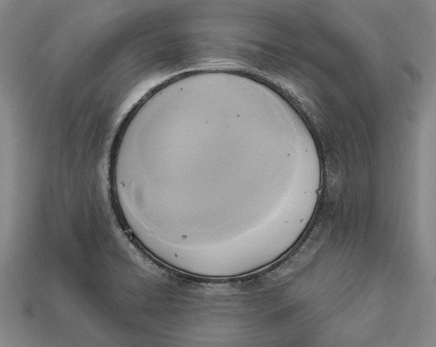 X0000112961422200909171248