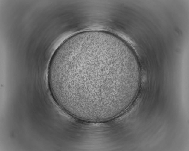 X0000112961423200909171248