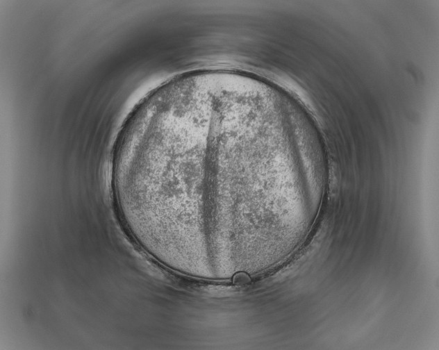 X0000112961424200909171248