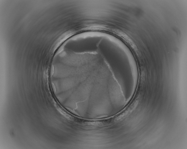 X0000112961425200909171248