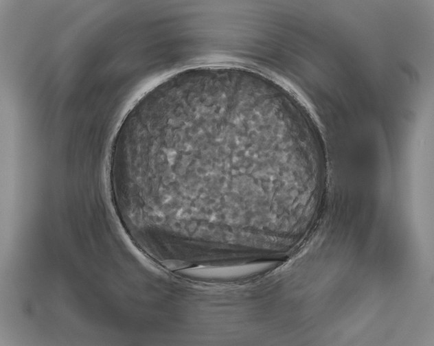 X0000112961429200909171248