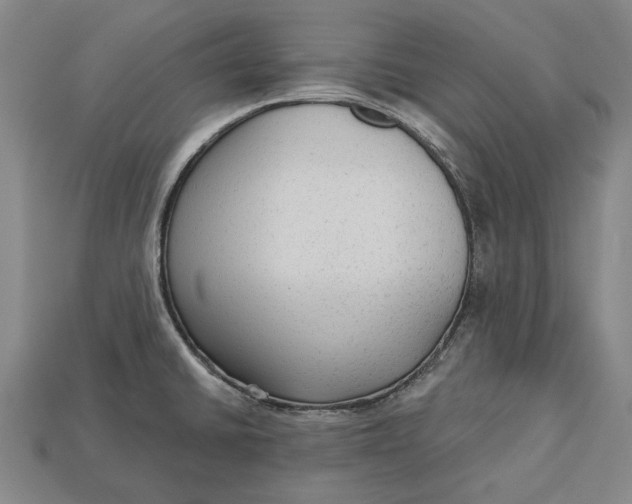 X0000112961430200909171248