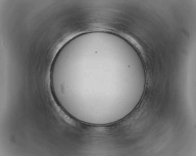 X0000112961431200909171248