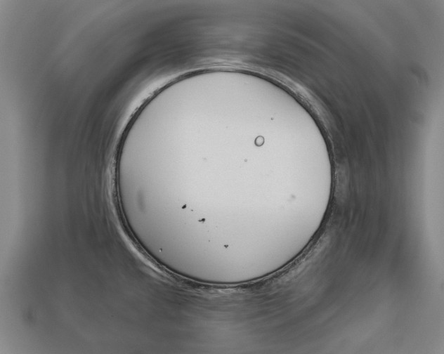 X0000112961432200909171248