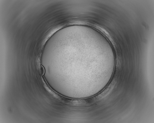 X0000112961433200909171248