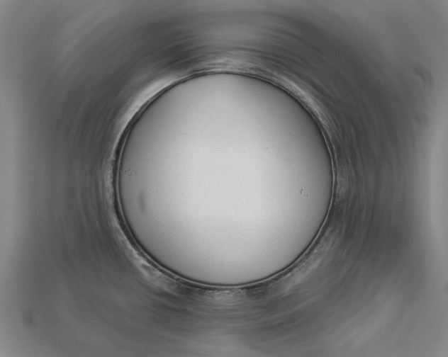 X0000112961434200909171248