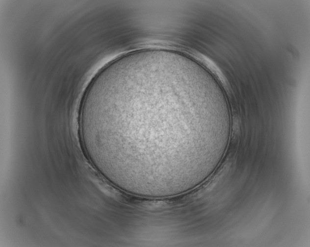 X0000112961435200909171248