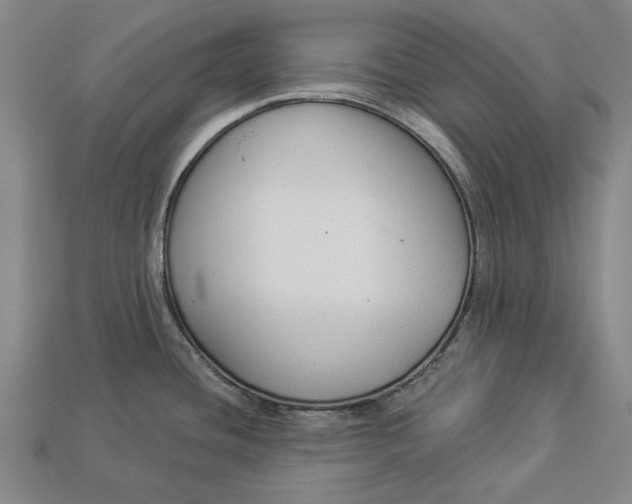 X0000112961436200909171248