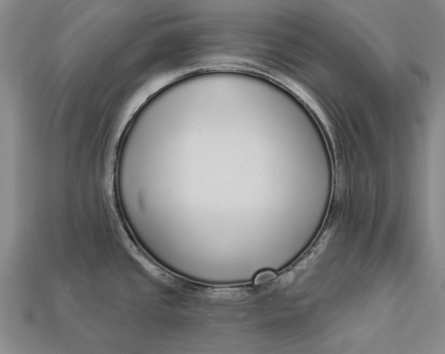 X0000112961437200909171249