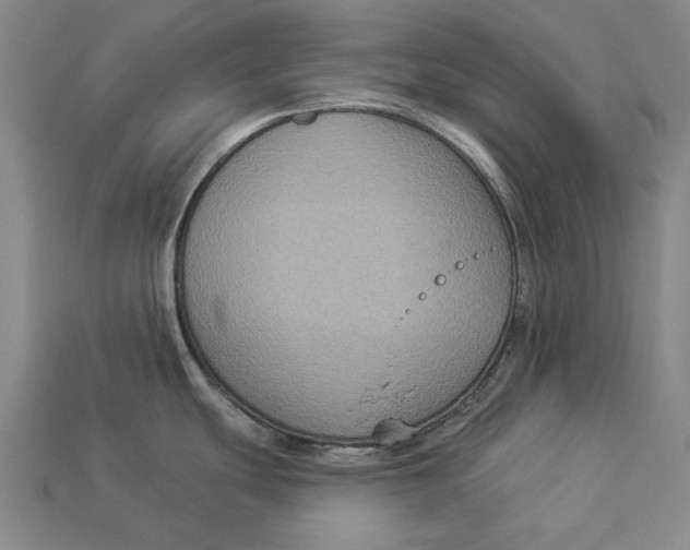 X0000112961439200909171249