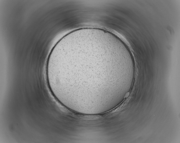 X0000112961440200909171249