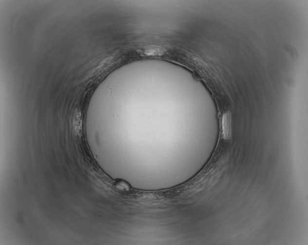 X0000112961443200909171248