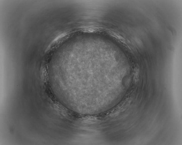 X0000112961446200909171248