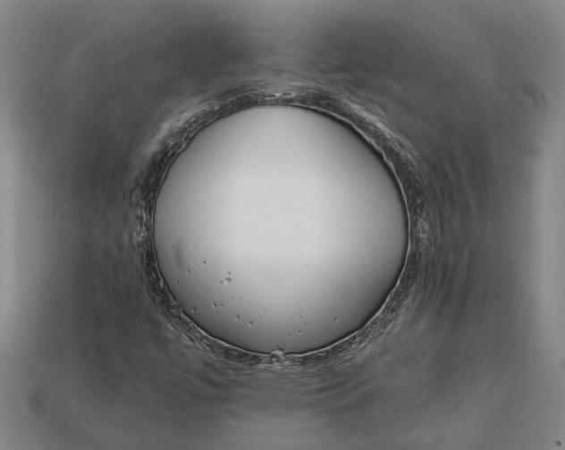 X0000112961447200909171248