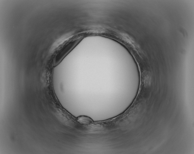 X0000112961448200909171248