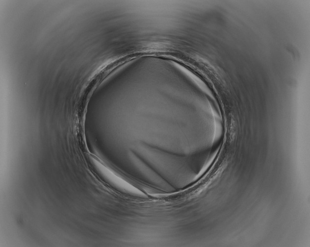 X0000112961449200909171248