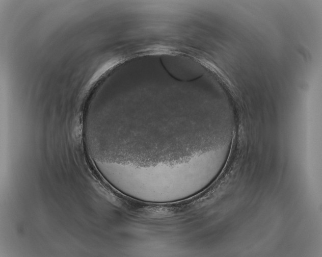 X0000112961450200909171248