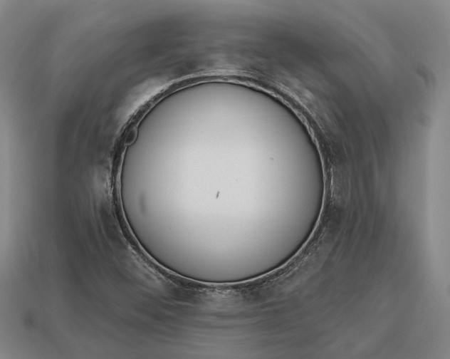 X0000112961452200909171248