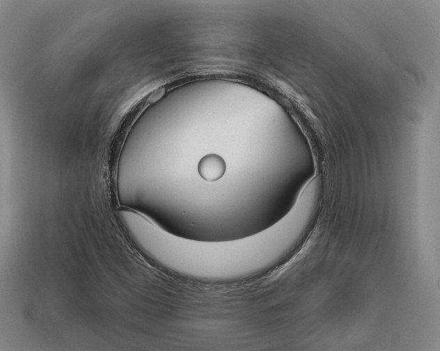 X0000112961453200909171248