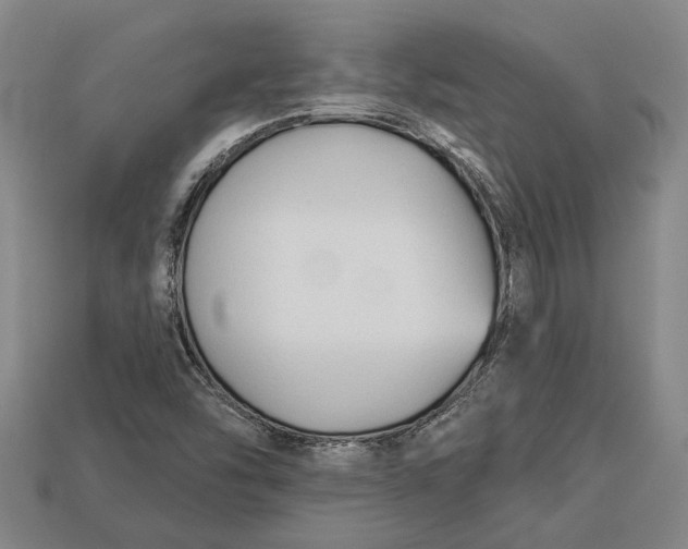 X0000112961454200909171248