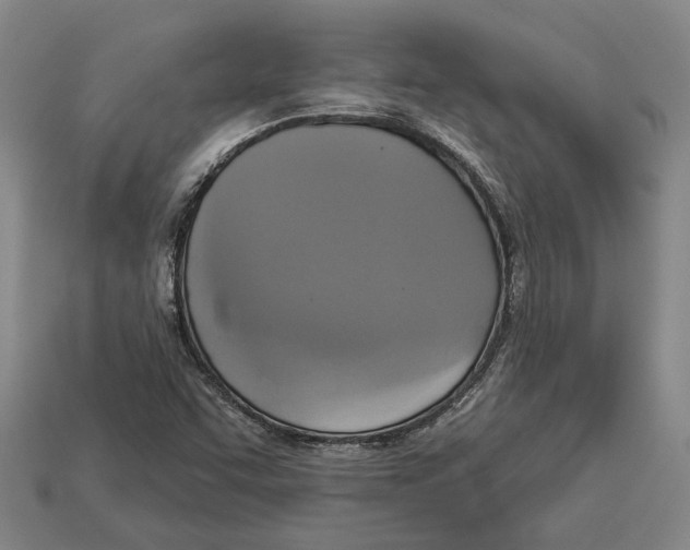 X0000112961455200909171248