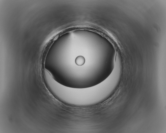 X0000112961456200909171248