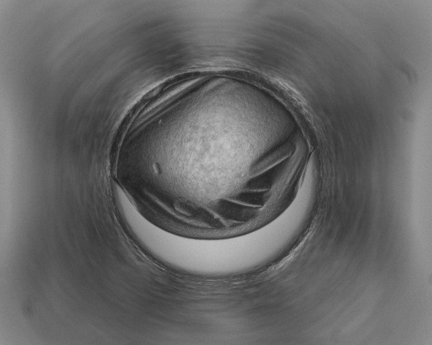 X0000112961457200909171248