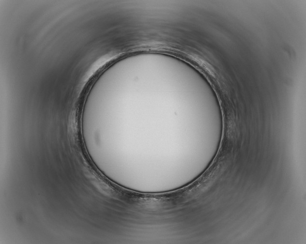 X0000112961458200909171248